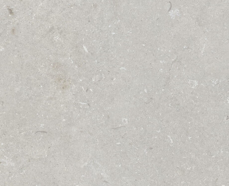 Gres til gulvet, 60x120 cm, lys grå, mat, A4H1093 Shellstone Bianco