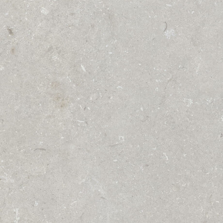 Gres til gulvet, 60x120 cm, lys grå, mat, A4H1093 Shellstone Bianco #1