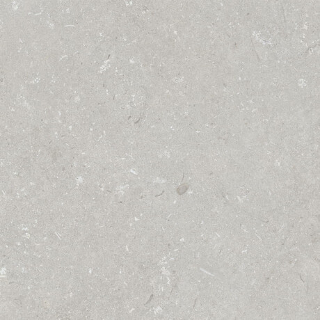 Gres til gulvet, 60x120 cm, lys grå, mat, A4H1093 Shellstone Bianco #2