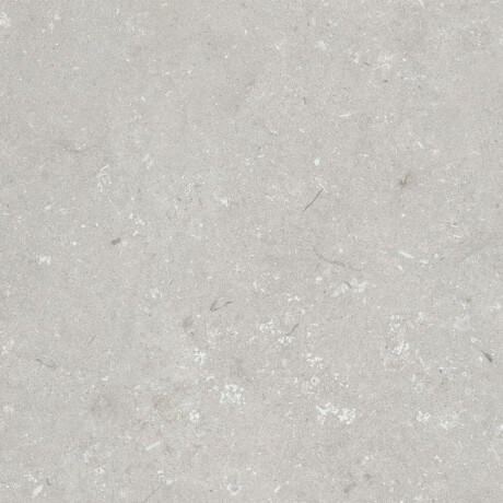 Gres til gulvet, 60x120 cm, lys grå, mat, A4H1093 Shellstone Bianco #3