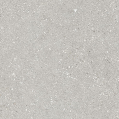 Gres til gulvet, 60x120 cm, lys grå, mat, A4H1093 Shellstone Bianco #4