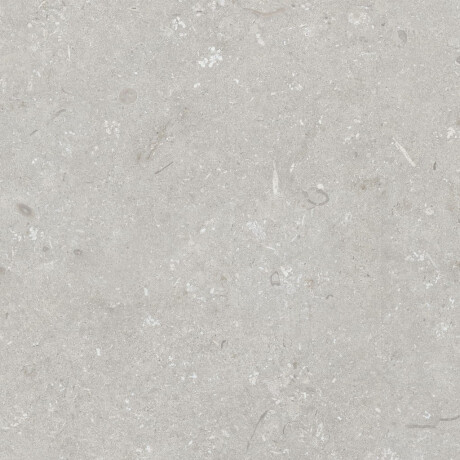Gres til gulvet, 60x120 cm, lys grå, mat, A4H1093 Shellstone Bianco #5