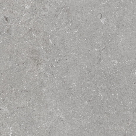 Gres til gulvet, 60x120 cm, grå mat, A4H1096 Shellstone Grigio #4