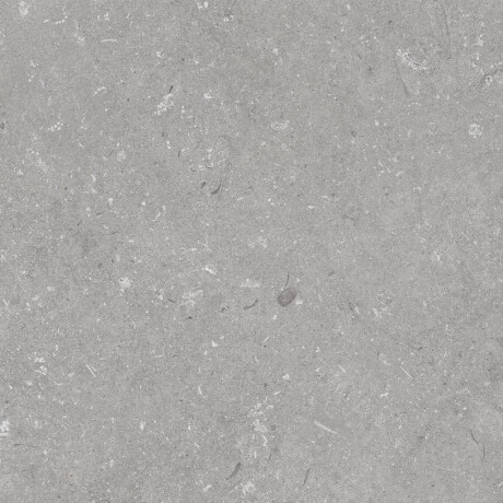 Gres til gulvet, 60x120 cm, grå mat, A4H1096 Shellstone Grigio #5