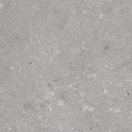 Gres til gulvet, 60x120 cm, grå mat, A4H1096 Shellstone Grigio #6