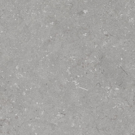 Gres til gulvet, 60x120 cm, grå mat, A4H1096 Shellstone Grigio #7