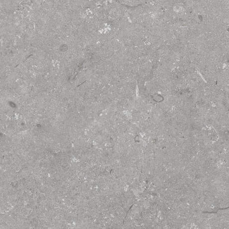 Gres til gulvet, 60x120 cm, grå mat, A4H1096 Shellstone Grigio #8