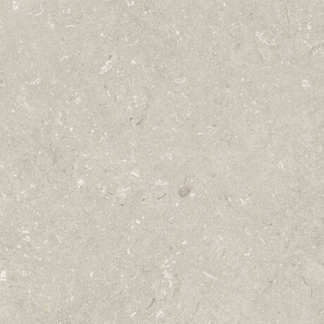 Gres til gulvet, 60x120 cm, beige, mat, A4H1099 Shellstone Beige #4