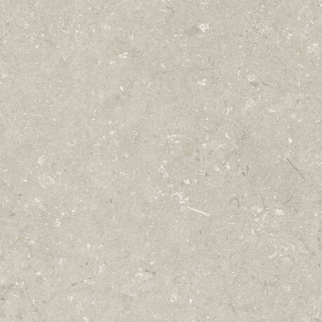 Gres til gulvet, 60x120 cm, beige, mat, A4H1099 Shellstone Beige #6