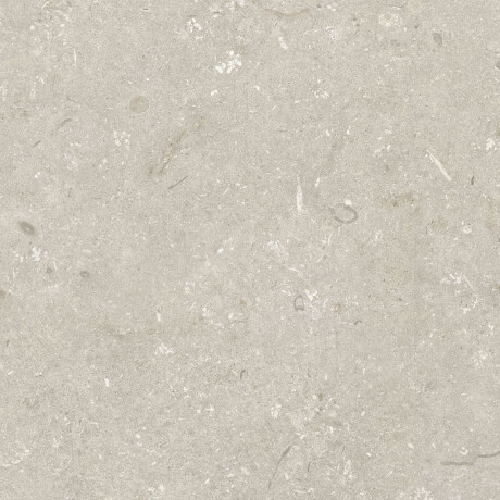 Gres til gulvet, 60x120 cm, beige, mat, A4H1099 Shellstone Beige #7