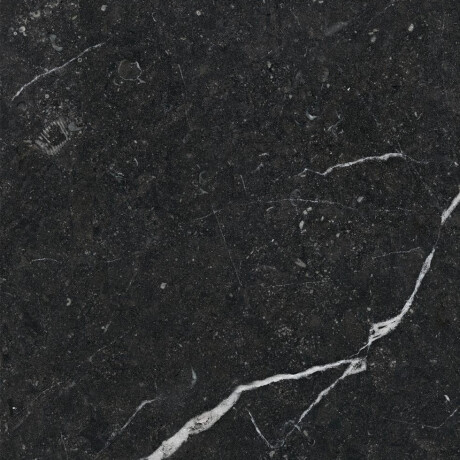 Glaseret keramisk flise til gulv, 60x120, med gyldne årer, mat, rektificeret, A4H110 Pierre Black #15