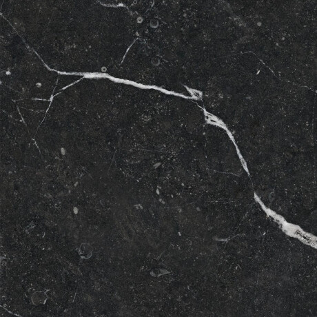 Glaseret keramisk flise til gulv, 60x120, med gyldne årer, mat, rektificeret, A4H110 Pierre Black #19