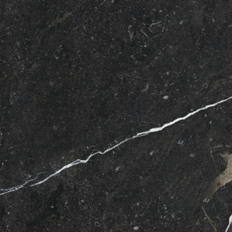 Glaseret keramisk flise til gulv, 60x120, med gyldne årer, mat, rektificeret, A4H110 Pierre Black #20