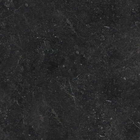 Glaseret keramisk flise til gulv, 60x120, med gyldne årer, mat, rektificeret, A4H110 Pierre Black #24
