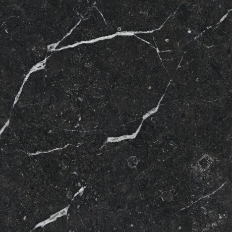 Glaseret keramisk flise til gulv, 60x120, med gyldne årer, mat, rektificeret, A4H110 Pierre Black #38
