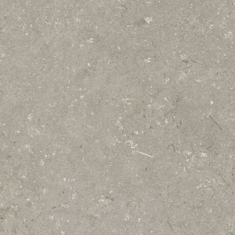 Gres til gulvet, 60x120 cm, taupe, mat, A4H1102 Shellstone Taupe #4