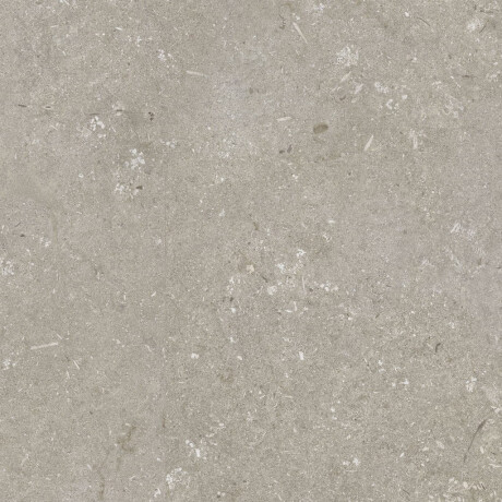 Gres til gulvet, 60x120 cm, taupe, mat, A4H1102 Shellstone Taupe #5
