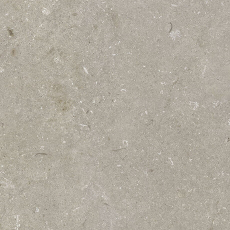 Gres til gulvet, 60x120 cm, taupe, mat, A4H1102 Shellstone Taupe #6
