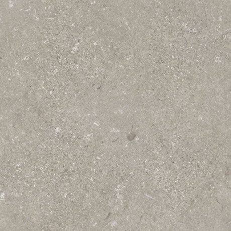 Gres til gulvet, 60x120 cm, taupe, mat, A4H1102 Shellstone Taupe #7