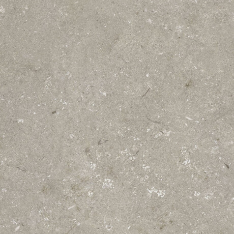 Gres til gulvet, 60x120 cm, taupe, mat, A4H1102 Shellstone Taupe #8