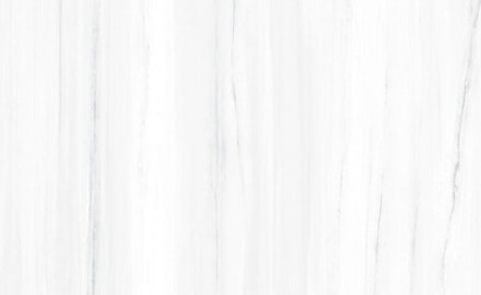 Storformat porcelænsflise, 120 x 270 cm, med grå årer, blank, rektificeret, A4H185 Dolomite
