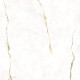 Gresfliser til gulvet, 120x120, marmor med varme årer, blank overflade, A4H522 Dubai Gold #6