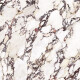 Storformat porcelænsfliser 120x280, marmor med lilla årer, blank overflade A4H840 Calakatta Wiola #6
