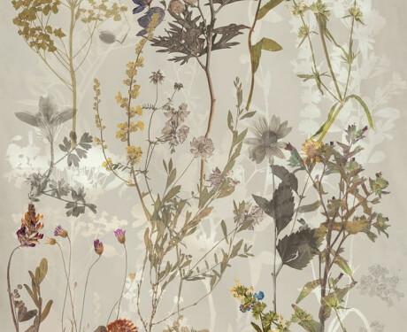 Vægfliser 60x120 cm, grå med blomstermønstre, mat, A4H919 Glame