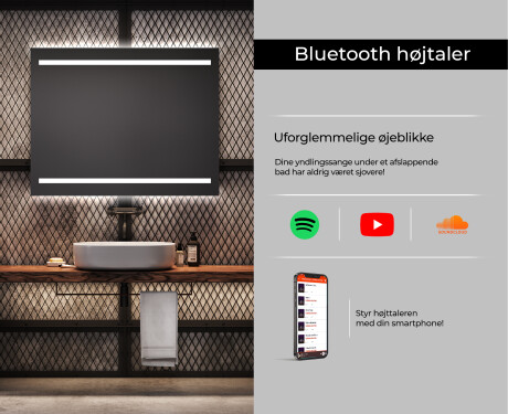 Badeværelsesspejl med lys L23 #6