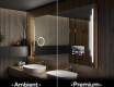 Spejl med lys til badeværelse L27 #1