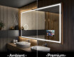Spejl med lys til badeværelse L49