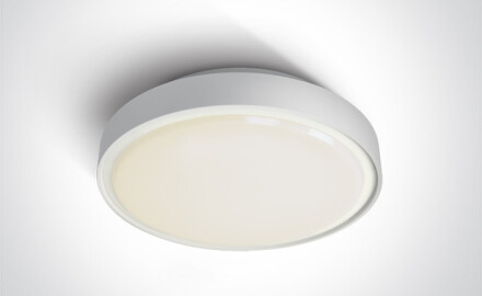 RAFTI AN loftlampe 24 W 3000 K IP65 antracit