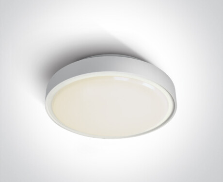 RAFTI AN loftlampe 24 W 3000 K IP65 antracit
