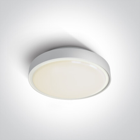 RAFTI AN loftlampe 24 W 3000 K IP65 antracit #1
