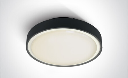RAFTI EA loftslampe 2x12W  IP65 antracit