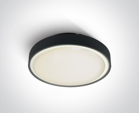 RAFTI EA loftslampe 2x12W  IP65 antracit
