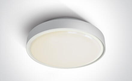 RAFTI EA loftslampe 2x12W  IP65 sort