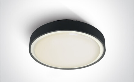 RAFTI E loftslampe 12 W  IP65 antracit