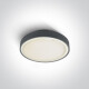 RAFTI EA loftslampe 2x12W  IP65 hvid #1