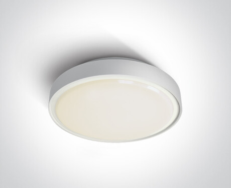 RAFTI E loftslampe 12 W  IP65 grå