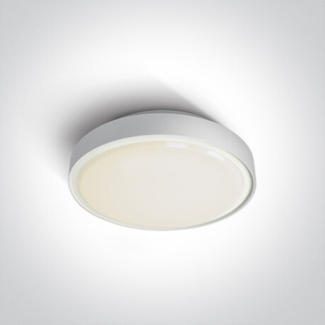 RAFTI E loftslampe 12 W  IP65 grå #1