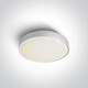 RAFTI E loftslampe 12 W  IP65 grå #1