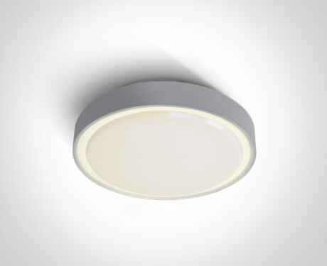 RAFTI N loftslampe 16 W 3000 K IP65 antracit