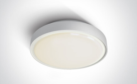 RAFTI N loftslampe 16 W 3000 K IP65 grå
