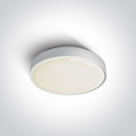 RAFTI N loftslampe 16 W 3000 K IP65 grå #1