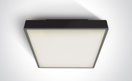 PIRNARI EA loftslampe 2x12W E27 IP65 antracit
