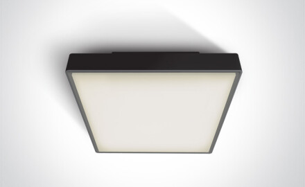 PIRNARI E loftslampe 12 W E27 IP65 antracit