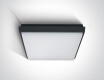 FASIDERI 2 loftslampe 30 W 3000 K IP54 hvid